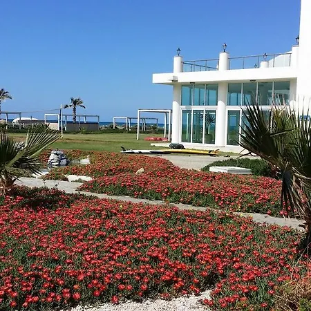 Ev | Cyprus -